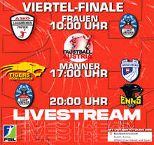 Faustball Bundesliga Livestream